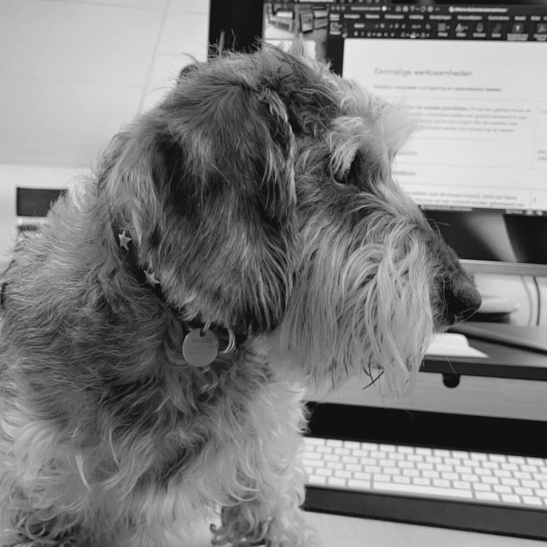 Woody, kantoorhond van Fortune Agency